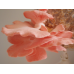 Мицелий Вешенки розовой / Розовый фламинго (Pleurotus djamor) Мицелий Вешенки розовой / Розовый фламинго (Pleurotus djamor)